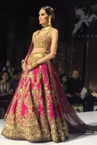 Deep Pink Embellished Blouse - Lehenga - Bridal Dupatta