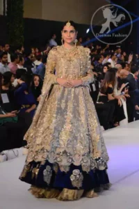 Light Fawn Fully Embroidered Double Layer Pishwash Dupatta