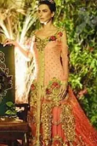 South Asian Bridal Wear Triple Tone Back Trail Gown