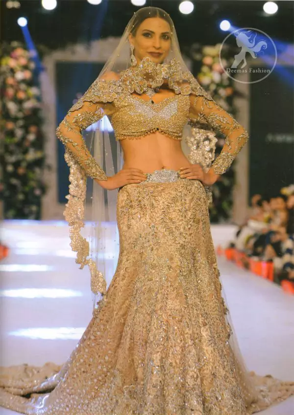 Bridal Wear Lehenga Choli. Fully embroidered blouse and fish-style back trail lehenga.