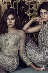 Designer Collection 2017 - Steal Gray Fully Embroidered Party Wear Gown