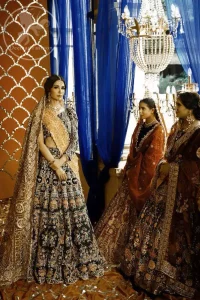 Wood Smoke Lehengha Brown Bramble Dupatta