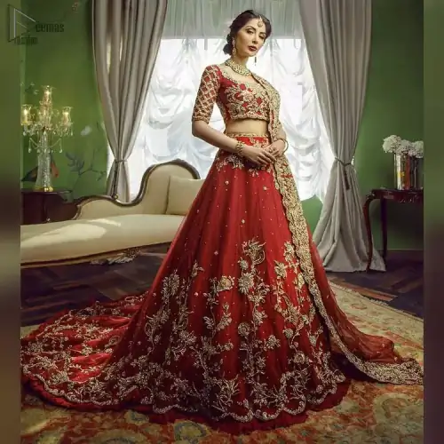 Red Back Train Lehenga Blouse – Dupatta