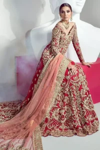 Red Back Train Lehenga Shirt – Tea Rose Dupatta