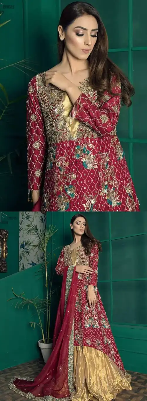 Red Back Train Maxi Dupatta – Golden Sharara