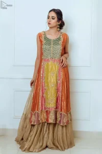 Orange Appliqued Shirt- Golden Sharara