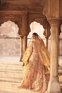 Take all the attention of the guests with your exquisite look with one of the best outfits from Deemas Fashion. Comprising of a peach organza round neckline blouse with complete zardozi work. This exceptionally embellished outfit is organized with a fawn organza dupatta which is sprayed with sequins glorifying its grace. Peach organza lehenga emphasized with floral bunches done with kora, dabka, tilla and sequins work. Making it true that you can turn all the heads around with your gorgeous ability to wear the outfit in a way that is spectacular.