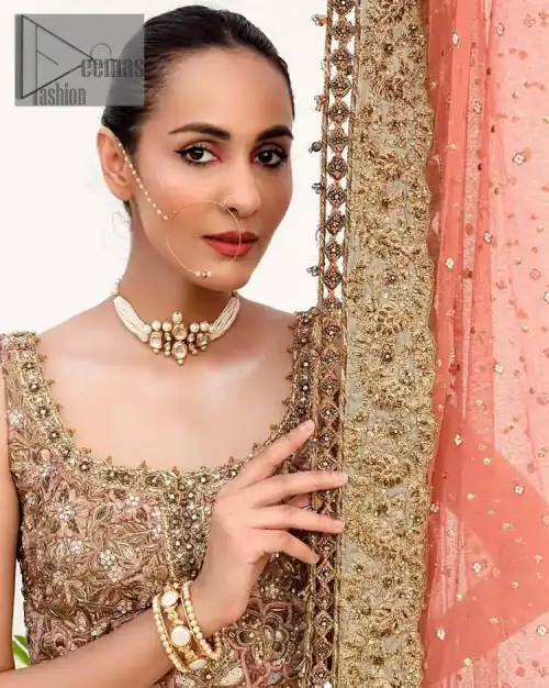 The perfect outfit for walima to enhance your glow. Starting this article with a dream rust blouse having a strap