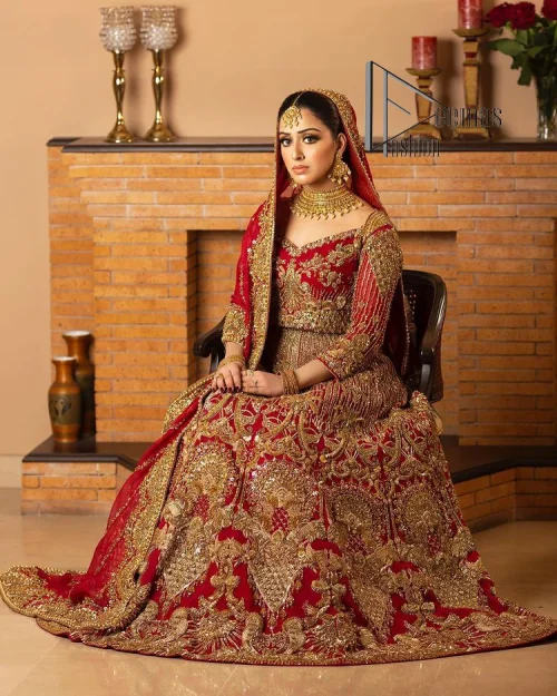 Most girls are excited just to wear maroon amazements. DeemasFashion initiates this Pakistani reception wear which includes a maroon blouse