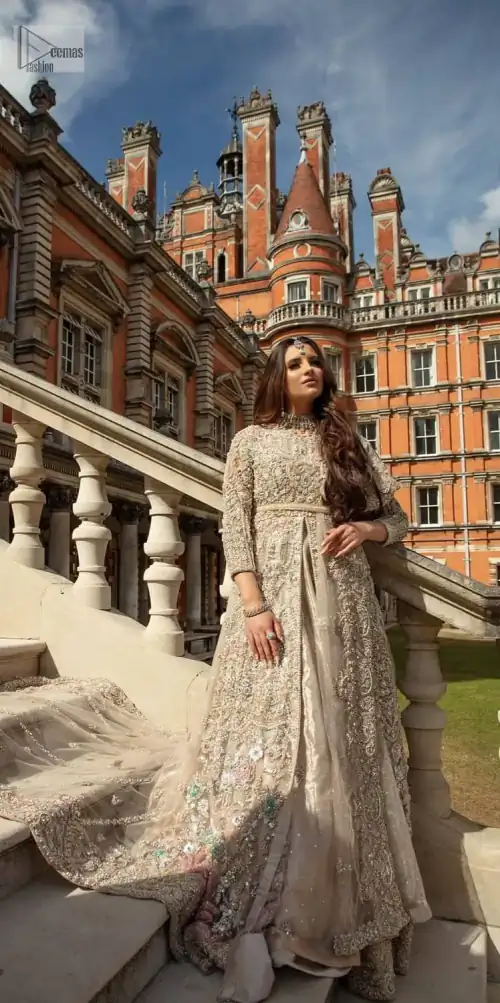 Filling the air with utmost happiness, joy ad fun for your Walima day. A handsome and attractive light fawn maxi