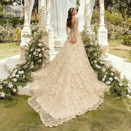 Mark your Nikah day in a calendar as a special one with this marvellous outfit. DeemasFashion presents this outfit in