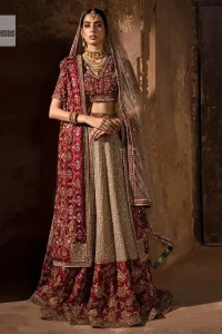 Keep it comfy and attractive with the best DeemasFashion reception wear! A silver flare lehenga encrusted with tilla, dabka, kora, Kundan and pearl work with heavily adorned silver and golden embroidery. The border of the lehenga has a beautiful red border to make it a unique masterpiece. The red blouse with V shape neckline is hand rendered with beautiful embroidery. In addition to this, the following blouse has half sleeves which is a simply stunning wedding dress. The look is completed with a beautiful, red organza dupatta with intricately hand embellished motifs and borders.