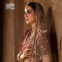 Keep it comfy and attractive with the best DeemasFashion reception wear! A silver flare lehenga encrusted with tilla, dabka, kora, Kundan and pearl work with heavily adorned silver and golden embroidery. The border of the lehenga has a beautiful red border to make it a unique masterpiece. The red blouse with V shape neckline is hand rendered with beautiful embroidery. In addition to this, the following blouse has half sleeves which is a simply stunning wedding dress. The look is completed with a beautiful, red organza dupatta with intricately hand embellished motifs and borders.