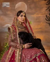 Experience the true essence of reception wear in alluring attires from DeemasFashion. The host pink pishwas is decorated with multiple colour embroidery which is handsomely enhanced with tilla, dabka, kora, Kundan and the real magic of Zardozi to make this masterpiece unique and charming. The finishing of boat shape neckline enhances the beauty of the attire. Furthermore, the full sleeves of the pishwas are a perfectly charming choice to pair with a Pishwas. It is coordinated with a jamawar lehenga whose border is adorned with beautiful embroidery. Complete this article with a dupatta framed with four-sided embellished borders and sequins sprayed all over.