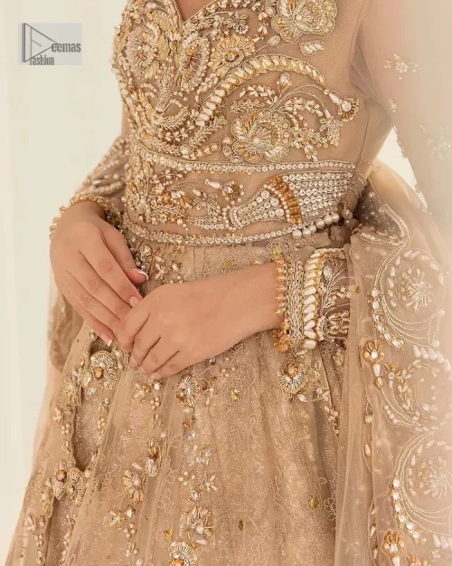 Presenting elegance personified glamorous formal nikah outfit. A heavenly-designed light golden maxi on an organza base serves as a canvas