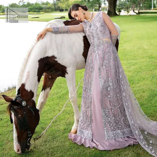 Lilac article on your Big day is like a pro. This lilac front open gown in the lilac shade is