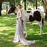 Lilac article on your Big day is like a pro. This lilac front open gown in the lilac shade is the epitome of royalty and grace. The gorgeous gown is adorned with silver dabka, pearls,tilla, kora, Kundan, zardozi and the real magic of beads. It is prominent with silver embroidery. The following gown has a V shape neckline to make this outfit remarkable. Further, the beautiful embroidery is adorned on full sleeves. The fully embellished lilac Gown will look perfect when paired with a set of plain lehenga choli. It is organized with a dupatta framed with four-sided borders and tiny floral motifs all over to gain pro magic.