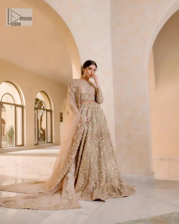 It features a softgalm-inspired look that redefines elegance. An elegant rhyme to tradition, the attractive and beautiful walima wear lehnga