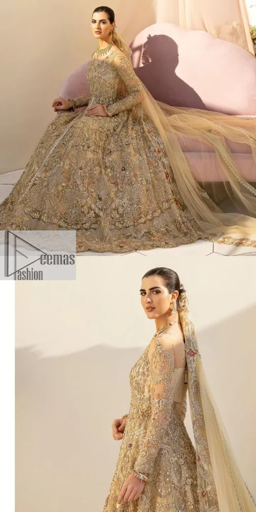 Make a statement wherever you go with a great selection of fawn colours just for you! A beautiful fawn scalloped