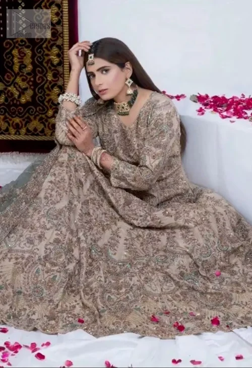 Crafted from the delicate net and organza, this maxi features intricate dark antique zardozi work and mint green thread embroidery,