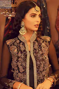 Crafted from pure tissue silk and organza, this creation is perfect for a Pakistani party, blending modern style with classic luxury. You radiate power, grace, and an undeniable sense of poise with every step.