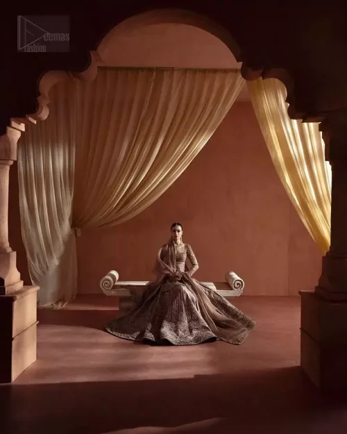 Sheer Dupatta Borders: The golden organza dupatta featuring beautifully embroidered borders and a sheer, ethereal finish.