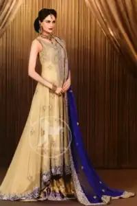 Light gold pure chiffon back trail frock. Frock has been adorned with long embellished neckline